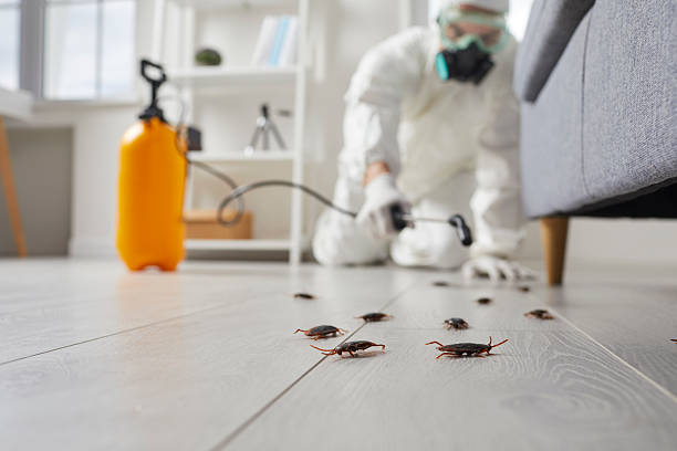 Commercial Kitchen Cockroach Control in Munising
